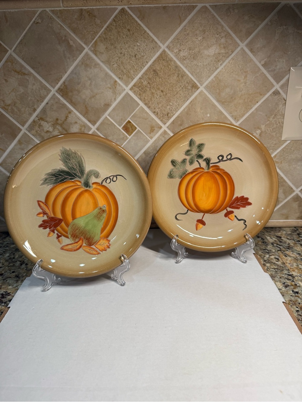 Harvest 2003 Pumpkin Fall Plates 9” Set of 2 Thanksgiving Autumn Harvest